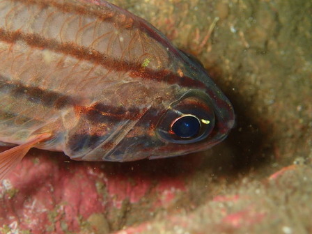 P5040005