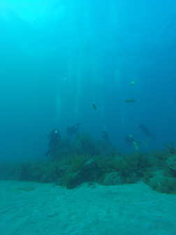 GOPR9254-DESKTOP-QE1COS3