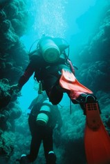 Ϳ����õ���⡪