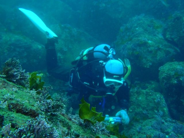 �������ӡ��� (6)