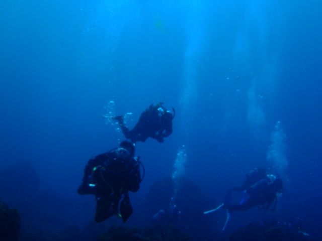P5040529