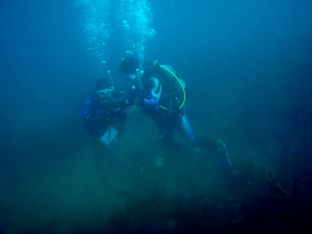 ���Ϥɤä��ء�����