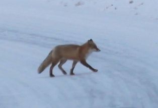 �������ĥ��ܺ���