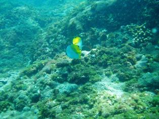 �ȥ����祦���祦��