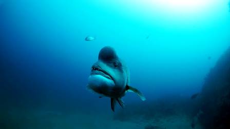 12033059_689841994449288_7931085673794341645_n