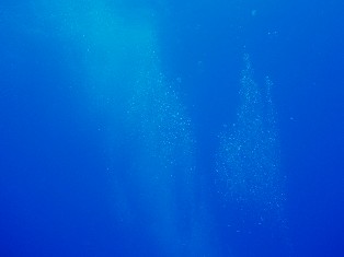 ������ߤο�ο�