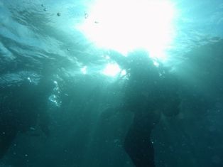 浮上