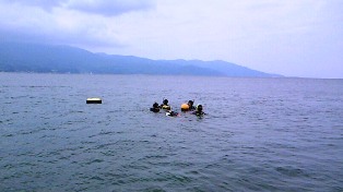 201005301045000
