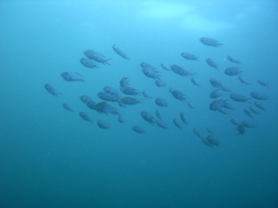 ��������������