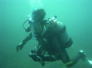 �ɸ������