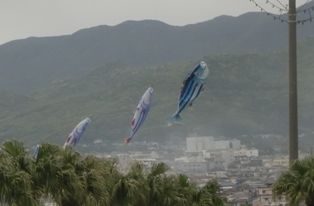 ���ĥ��Τܤ꡼