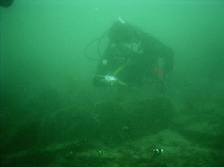 ���ޥΥ߻����桪