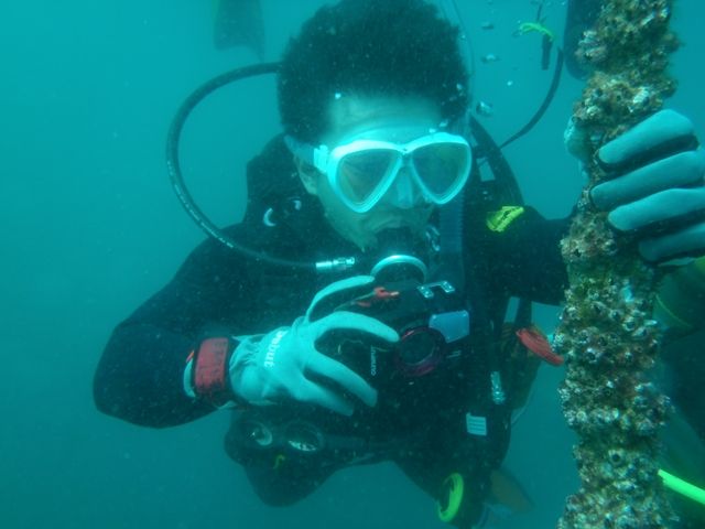 �������������� (5)