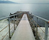 ���Τ褦�ʿ��̡����줤�Ǥ���