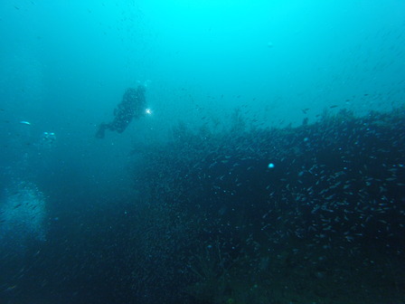 GOPR8175_1569146392938_high