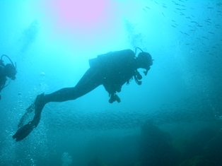 ���Υ��륨�åȤϸ�����