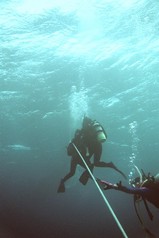 ������ߤ��äƳڤ�������