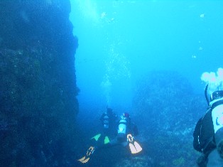 �����ͣ�