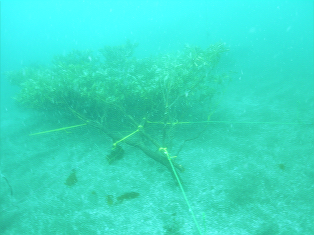 PIC0021
