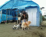 �����ӥ������