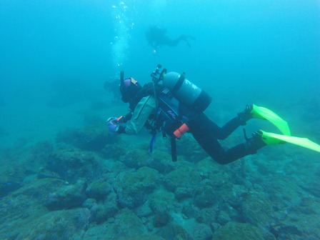 GOPR1183