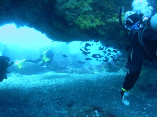 �����ͣ�