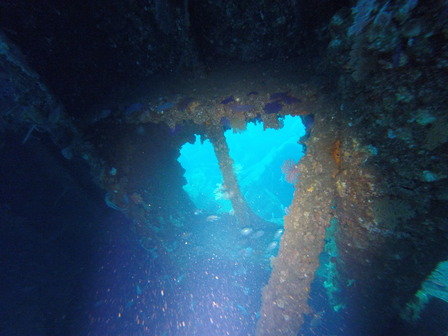 GOPR1449