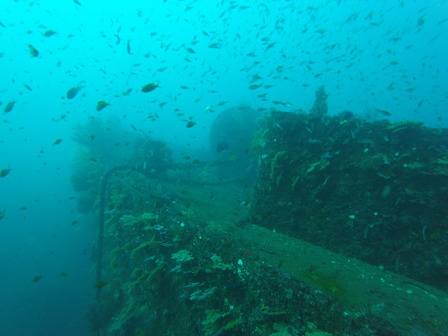 GOPR1468