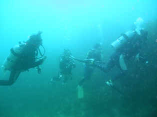 �����ʤ���夬����������