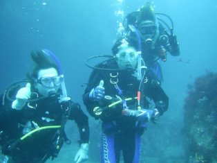 �֥롼������������