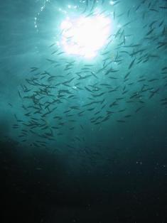 ���췲���