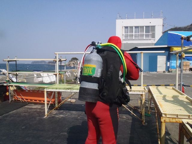 �����å�������