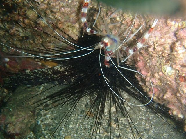 ���󥸥祤����������FUN (16)