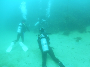 ����ӡ���