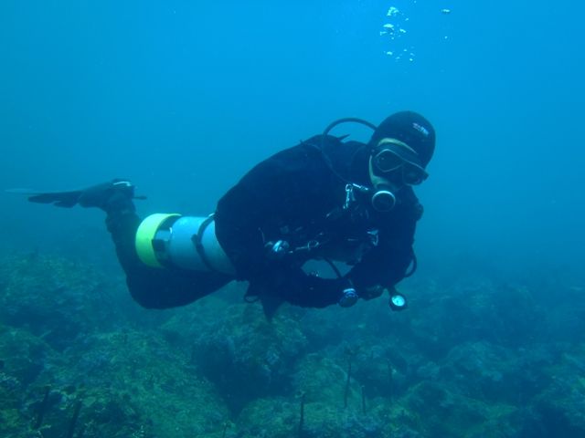 �������ӡ��� (9)