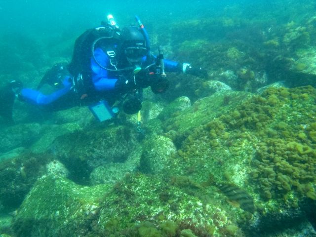 �ե��ȥ����С�