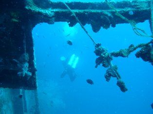 �������������ǽ��