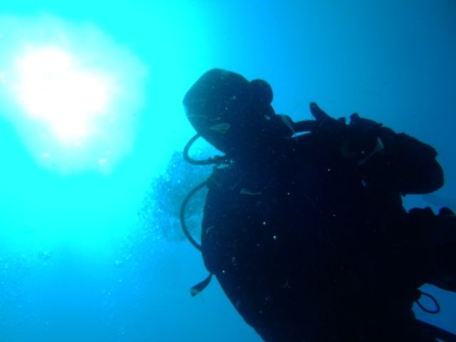 P5030510