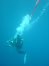 ȯ�͡�(��_��)