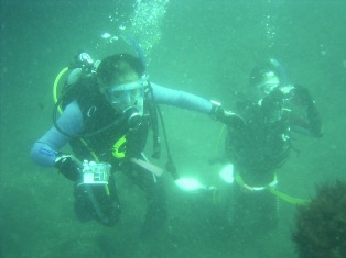 �ե��Ȥ�̴��Ǥ�����