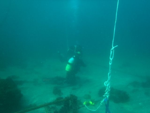 DM�������Ǥ���碌�档