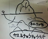 �ȥ�Х鲣����ο�