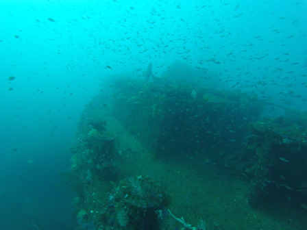 GOPR1462