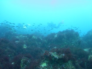 �����ͱ�