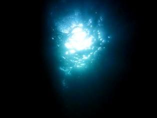 307004_250452838388208_688969502_n