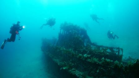 12049267_689841787782642_3983689946038343279_n