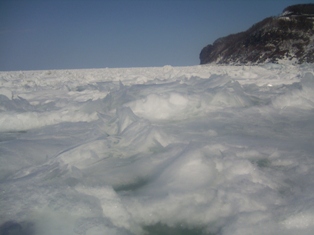 ���̵�©��