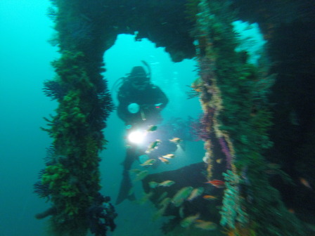 GOPR7781_1561189717265_high