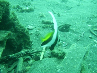 �ϥ����ƥ��������ۤ�