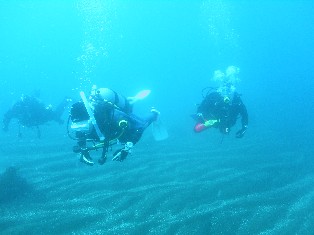 �ӡ�����